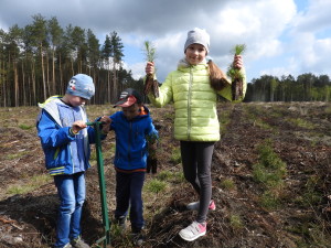 Drzewa dla Ziemi – sadzenie lasu