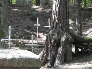 „Lisie Jamy”-Dzień Pamięci Ofiar Totalitaryzmu Niemieckiego