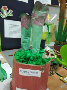 Świat Roślin Owadożernych