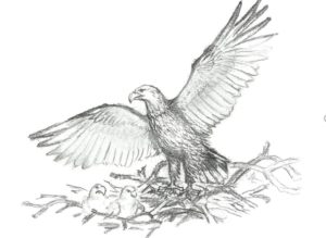 Wspomnienie z nadania imienia Orła Białego Szkole Podstawowej w Michałówce…