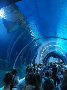 Wycieczka klas piątych do Łodzi